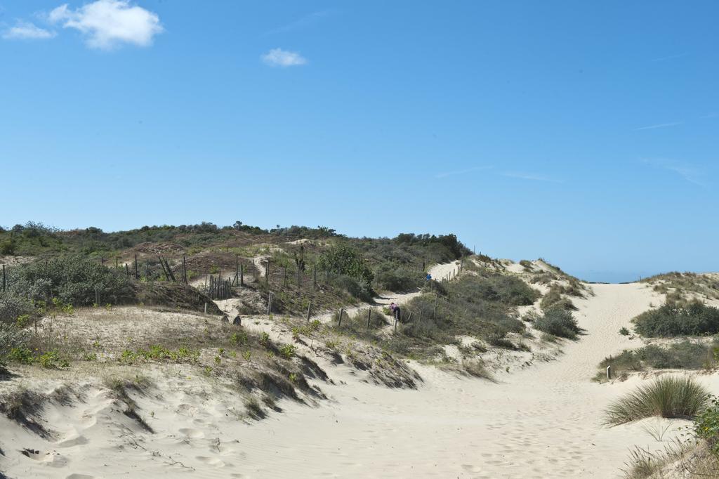 Evancy Etoile De Mer Bray-Dunes Exteriör bild
